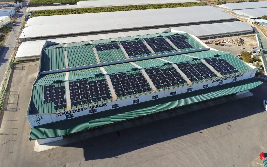 Installation of self-consumption of 118kw in company
